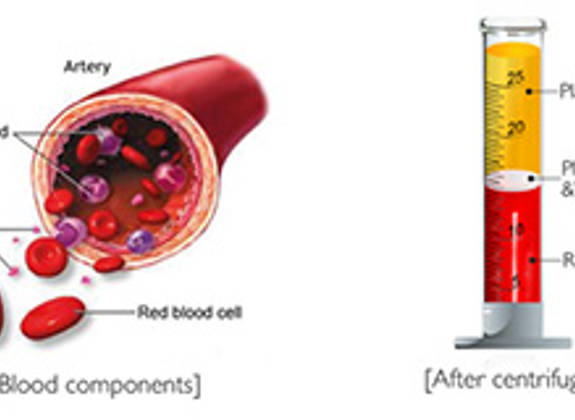 Illustration showing blood components and PRP separation process after centrifugation, highlighting plasma etc